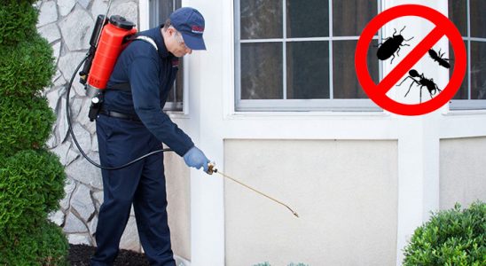 Kocaköy Böcek ve Haşere İlaçlama böcek ilaçlama ve haşere kontrolü — ilaclama-tr.com